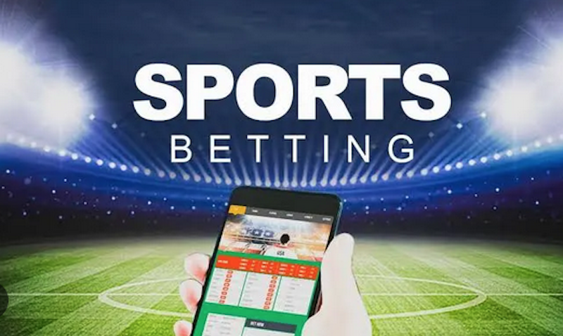 The Ultimate Guide to Betwinner Features, Advantages, and Betting Options